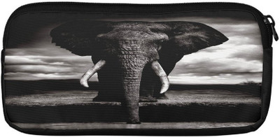 

Panda Creation Casual Multicolor Clutch
