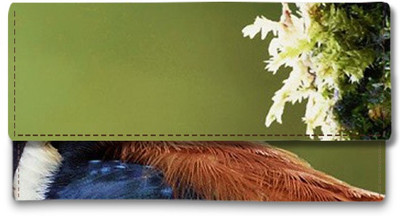 

Shoprider Casual Multicolor Clutch