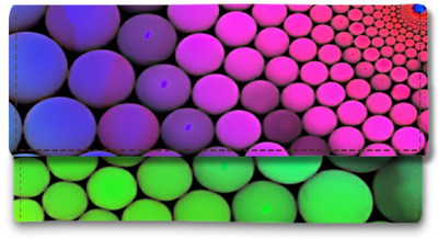 

Shoprider Casual Multicolor Clutch