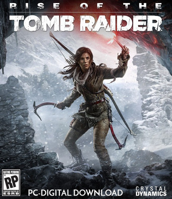 

Rise of the Tomb Raider(Code in the Box - for PC)