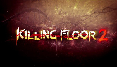 

Killing Floor 2 Early Access(Code in the Box - for PC)