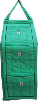 

SRIM SMC0088 Polyester Collapsible Wardrobe(Finish Color - Light Green)