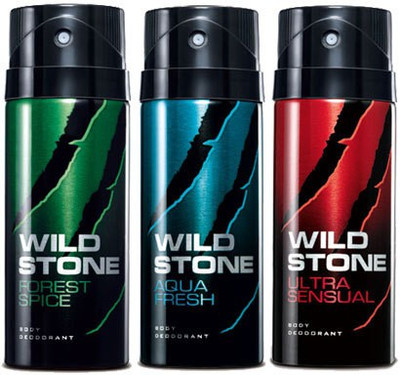 

Wild stone No-6 Combo Set(Set of 3)