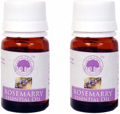 

Old tree Rosemarry Essential Oil Pack Of 2 Piece Combo Set(Set of 2)