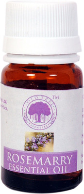 

Old Tree Rosemarry Oil(15 ml)