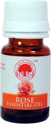 

Old Tree Essential Oil(50 ml)