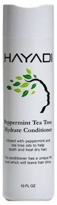 

Hayadi Hayadi Peppermint Tea Tree Conditioner, Peppermint, 10 Ounce(295 ml)