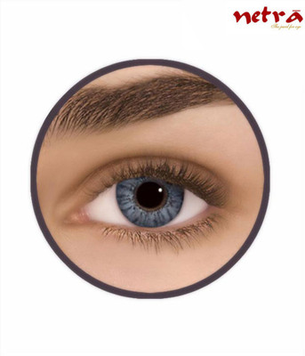 

Netra Altitudinal Grey Contact Lenses Monthly Contact Lens(Zero Power, Grey, Pack of 2)