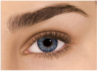 

Sparkle Gray Monthly Contact Lens(Zero Power, Gray, Pack of 2)