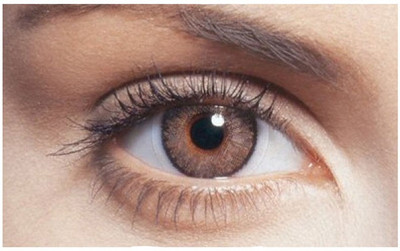 

Sparkle Brown Monthly Contact Lens(Zero Power, Brown, Pack of 2)