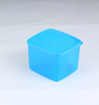 Signoraware Freezer Fresh Big - 0.85 ml Plastic Food Storage(Blue)