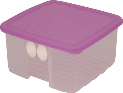 

Tupperware freezer smart - 1000 ml Plastic Grocery Container(Pink, White)