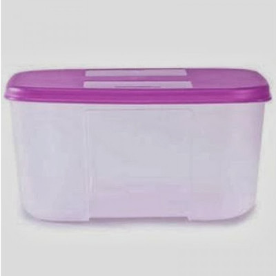 

Tupperware FreezerMate - 700 ml Plastic Grocery Container(Purple)