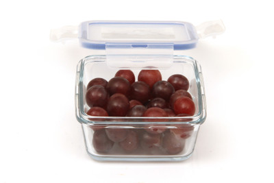 Vertis Square Dish with Quad Lock Airtight PP Lid 525 mL - 525 ml Glass Grocery Container(Clear)