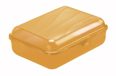 Rotho Princeware - 1250 ml Plastic Food Storage(Orange) Rotho Princeware - 1250 ml Plastic Food Storage(Orange)