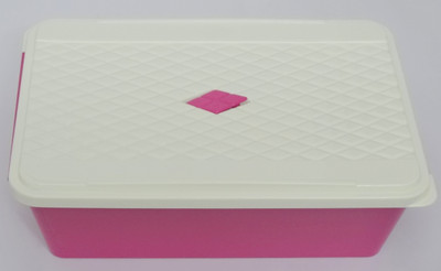 

Bager - 4400 ml Plastic Grocery Container(Pink)