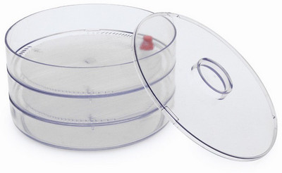 Disha Sprout Maker 2 Bowl - 1 L Plastic Grocery Container(Clear) available at flipkart for Rs.295