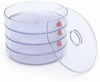 DISHA - 3 L Plastic Grocery Container(White)