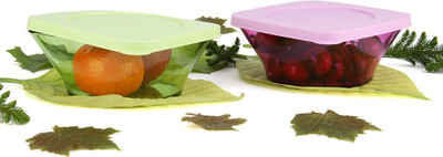 

Tupperware - 620 ml Plastic Grocery Container(Pack of 2, Purple, Green), Green;purple