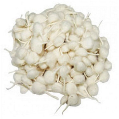 41% OFF on Vedic Vaani PI25 Cotton Wick 41% OFF on Vedic Vaani PI25 Cotton Wick
