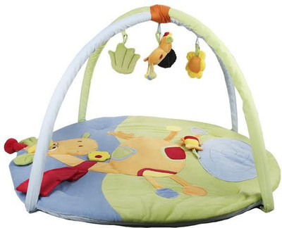 

Baby Boo play gym(Blue, Green)