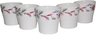 Reddish Bone China(White, Pack of 6)