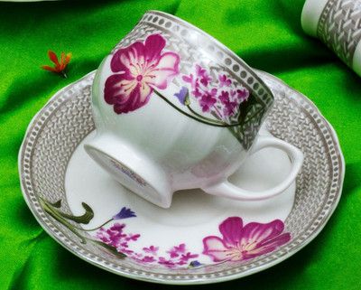 

BP Bharat Bone China(Grey, Pink, Pack of 12)