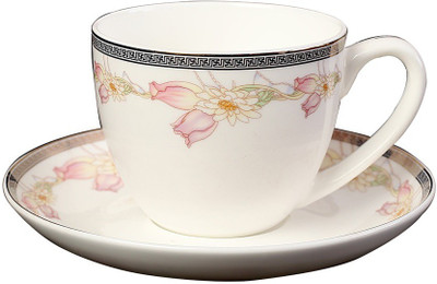 

Aspirationz Bone China(Multicolor, Pack of 12)