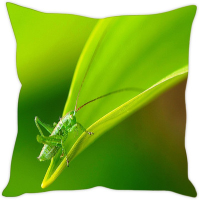 

Sleep Nature's Abstract Cushions Cover(Pack of 5, 40.64 cm*40.64 cm, Multicolor)