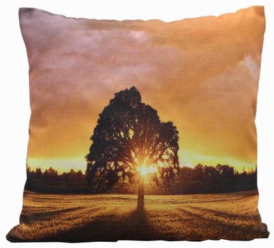 

Adishma Printed Cushions Cover(40 cm*40 cm, Multicolor)