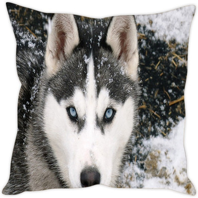 

Sleep Nature's Abstract Cushions Cover(30.63 cm*30.63 cm, Multicolor)