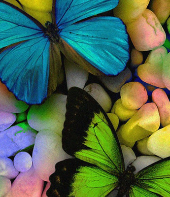 meSleep Floral Cushions Cover(Pack of 10, 40.64 cm*40.64 cm, Multicolor)