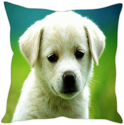 

Sleep Nature's Abstract Cushions Cover(40.64 cm*40.64 cm, Multicolor)