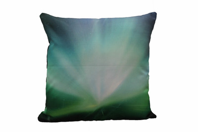 

Adishma Printed Cushions Cover(40 cm*40 cm, Black, Green)