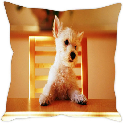 

Sleep Nature's Abstract Cushions Cover(Pack of 5, 30.64 cm*30.64 cm, Multicolor)