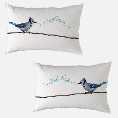 Right Printed Pillows Cover(Pack of 2, 67 cm*42 cm, Multicolor)