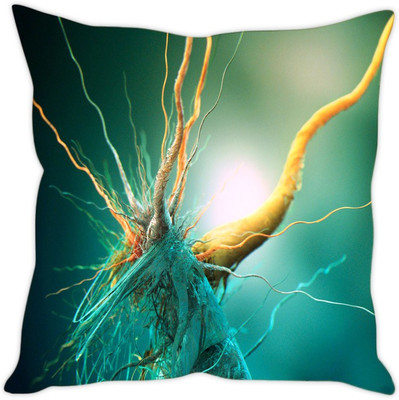 

Sleep Nature's Abstract Cushions Cover(40.64 cm*40.64 cm, Multicolor)