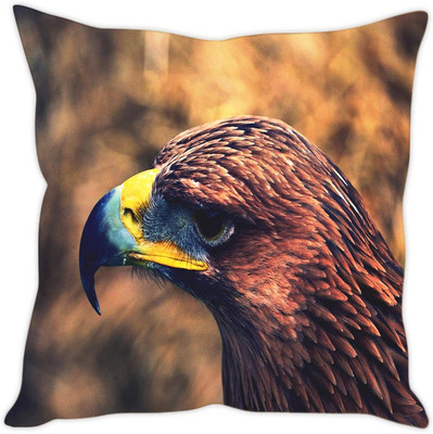 

Sleep Nature's Abstract Cushions Cover(Pack of 5, 40.64 cm*40.64 cm, Multicolor)