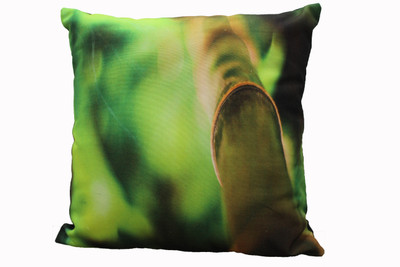 

Adishma Printed Cushions Cover(40 cm*40 cm, Green)