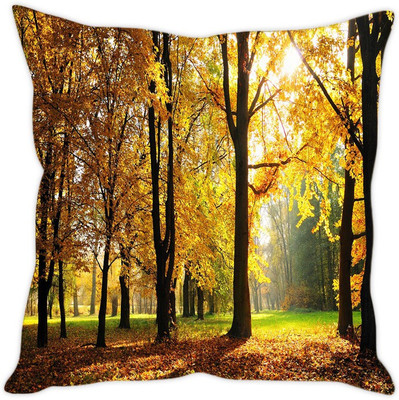 

Sleep Nature's Abstract Cushions Cover(40.64 cm*40.64 cm, Multicolor)