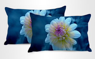 41% OFF on StyBuzz Printed Pillows Cover(Pack of 2, 71 cm*46 cm, Multicolor) 41% OFF on StyBuzz Printed Pillows Cover(Pack of 2, 71 cm*46 cm, Multicolor)