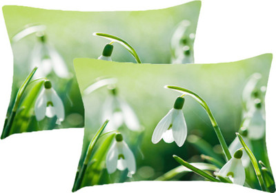 

Sleep Nature's Printed Pillows Cover(Pack of 2, 68.58 cm*45.72 cm, Multicolor)