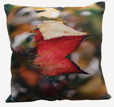 

Adishma Printed Cushions Cover(40 cm*40 cm, Multicolor)