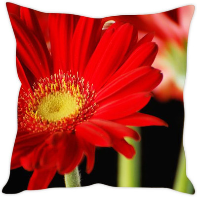 

Sleep Nature's Abstract Cushions Cover(Pack of 5, 40.64 cm*40.64 cm, Multicolor)