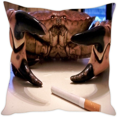 

Sleep Nature's Abstract Cushions Cover(40.64 cm*40.64 cm, Multicolor)