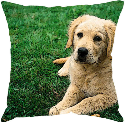 

Fabulloso Abstract Cushions Cover(31 cm*31 cm, Multicolor)