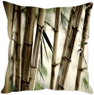 

Sleep Nature's Abstract Cushions Cover(40.64 cm*40.64 cm, Multicolor)