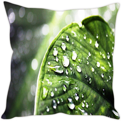 

Sleep Nature's Abstract Cushions Cover(Pack of 5, 30.64 cm*30.64 cm, Multicolor)