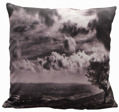 

Adishma Printed Cushions Cover(40 cm*40 cm, Black)