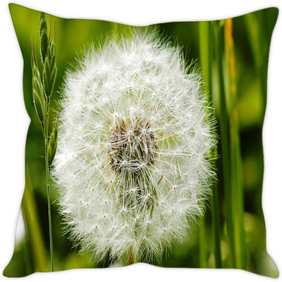 

Sleep Nature's Abstract Cushions Cover(30.63 cm*30.63 cm, Multicolor)